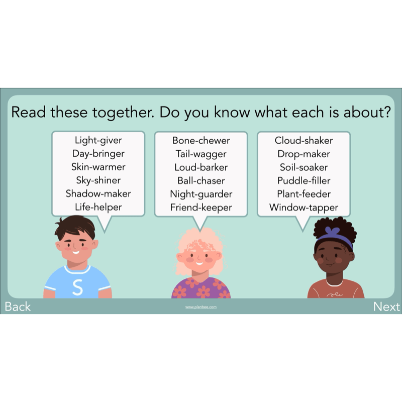 PlanBee Year 3 Patterns in Poetry | Investigating Types of Poems