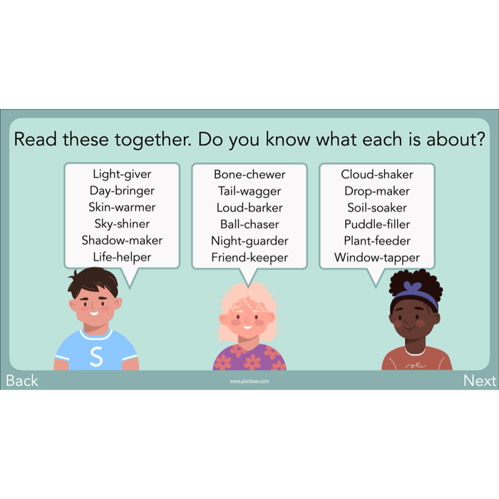 PlanBee Year 3 Patterns in Poetry | Investigating Types of Poems