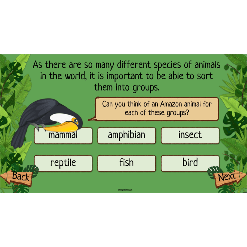 PlanBee Rainforest Habitats KS2 Science Lesson Pack