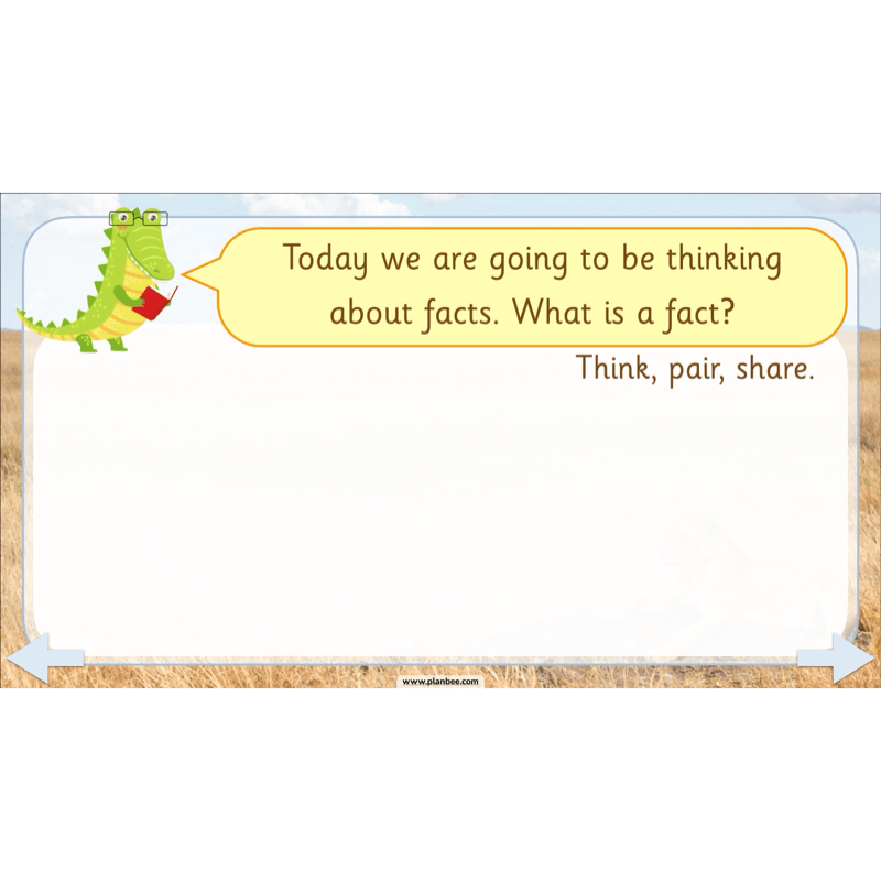 PlanBee Safari Adventures KS1 | English Lesson Pack