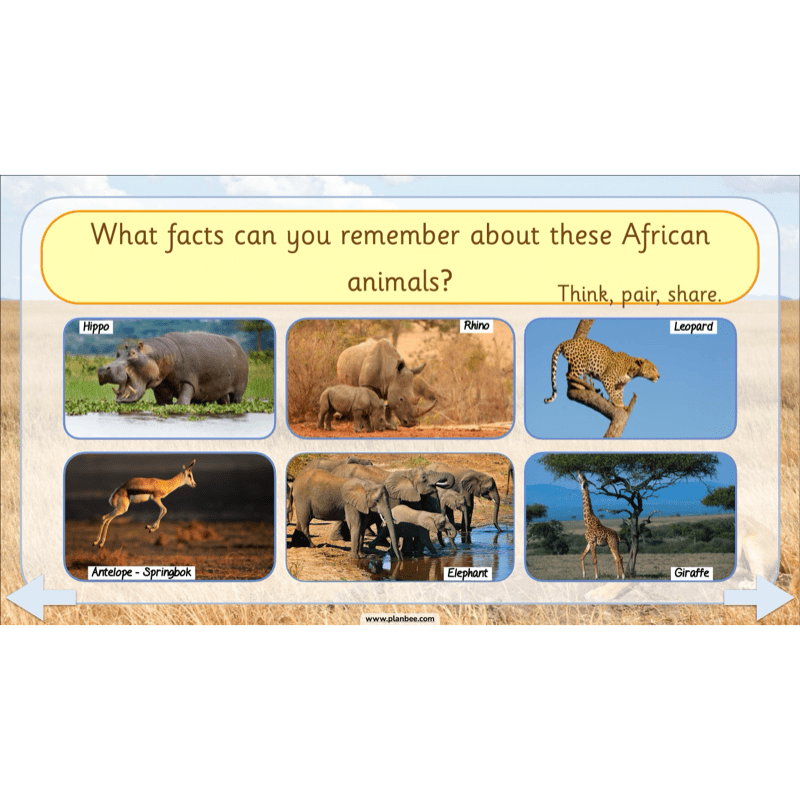 PlanBee Safari Adventures KS1 | English Lesson Pack