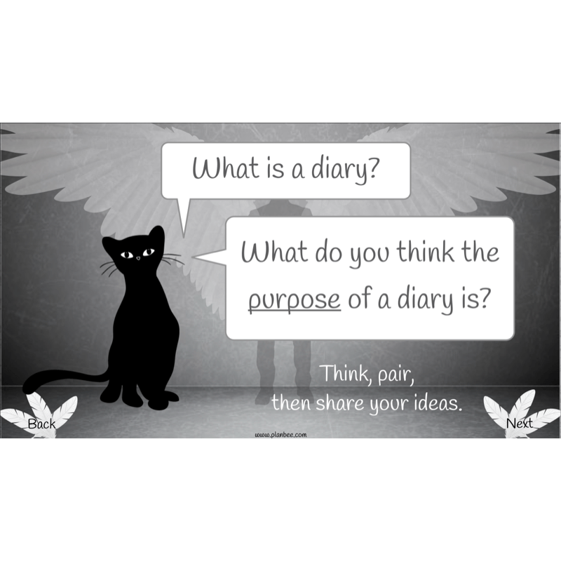 PlanBee Skellig Diary Entries KS2 | Year 6 English Lesson Pack