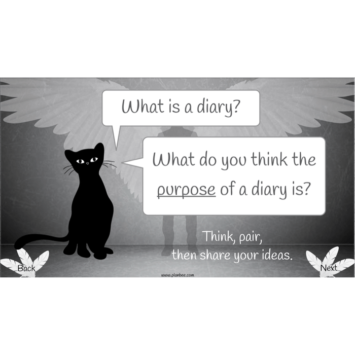 PlanBee Skellig Diary Entries KS2 | Year 6 English Lesson Pack