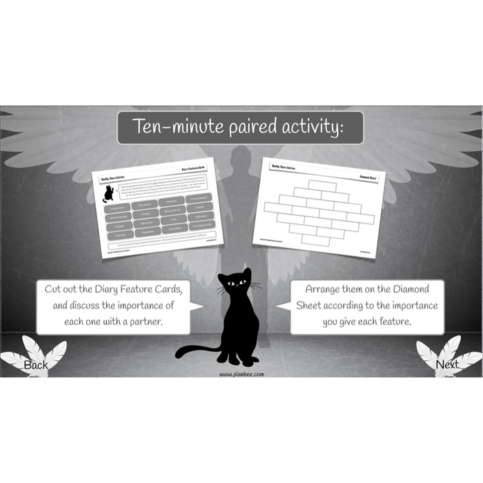 PlanBee Skellig Diary Entries KS2 | Year 6 English Lesson Pack