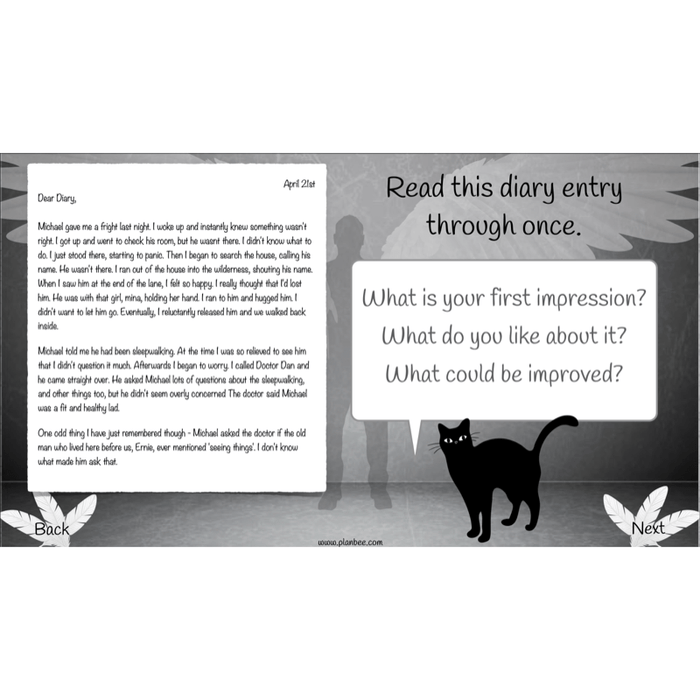 PlanBee Skellig Diary Entries KS2 | Year 6 English Lesson Pack