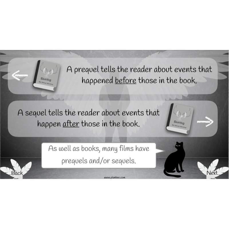 PlanBee Skellig: Narrative