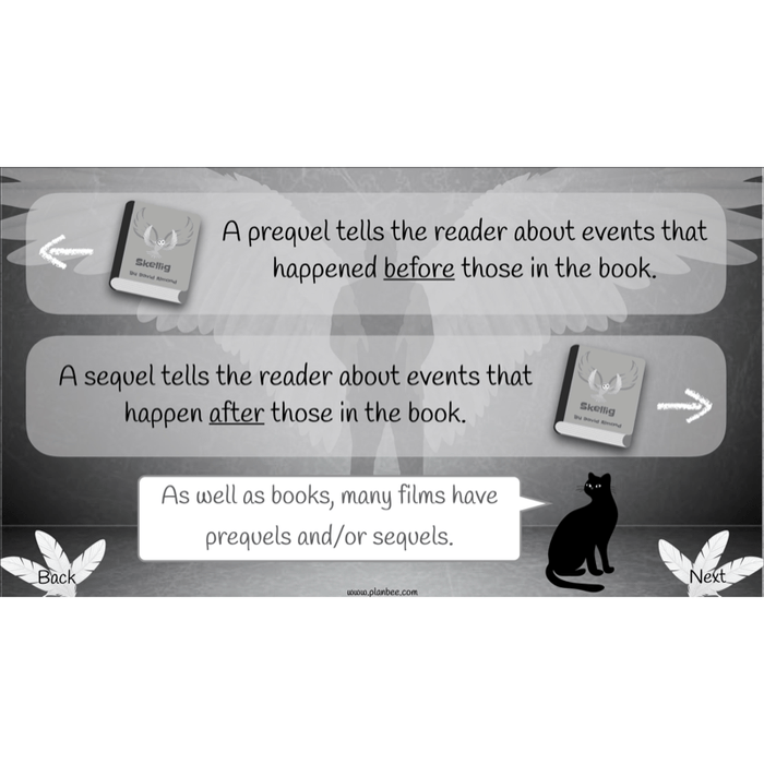 PlanBee Skellig: Narrative