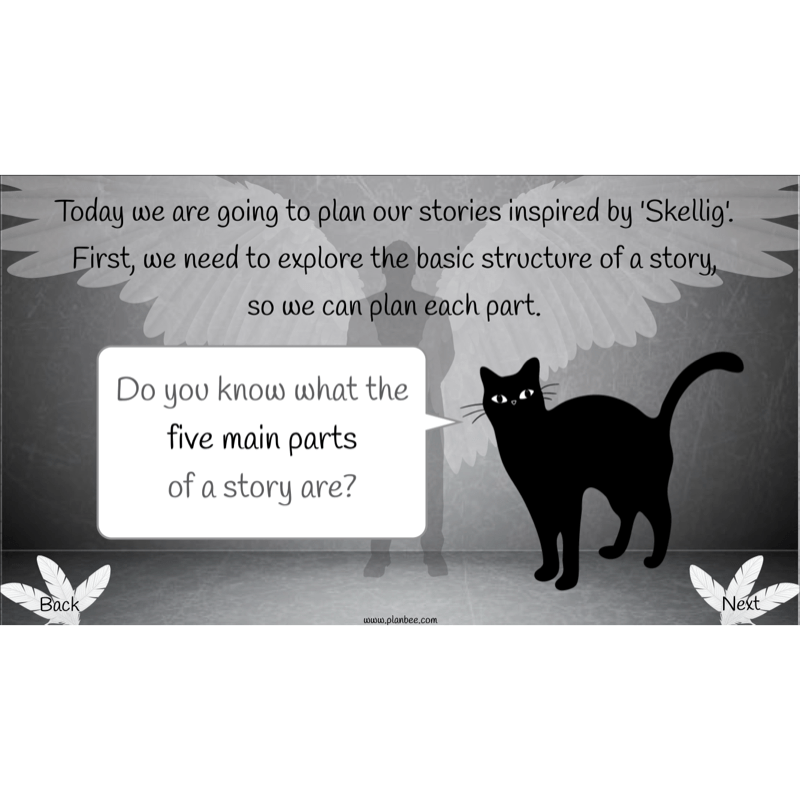 PlanBee Skellig: Narrative