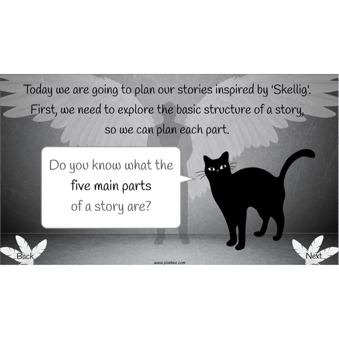 PlanBee Skellig: Narrative