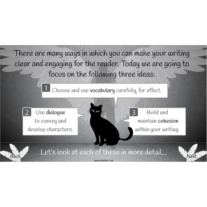 PlanBee Skellig: Narrative