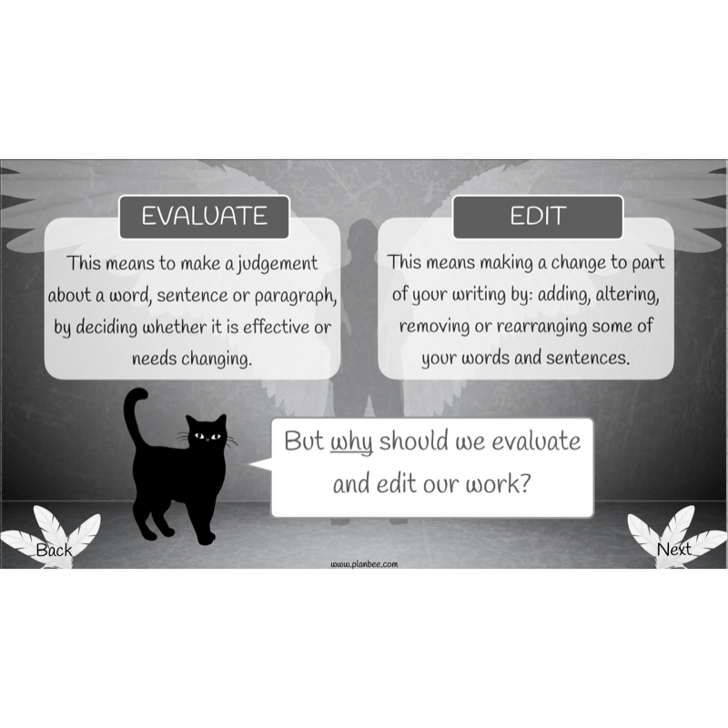 PlanBee Skellig: Narrative