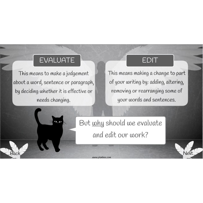 PlanBee Skellig: Narrative