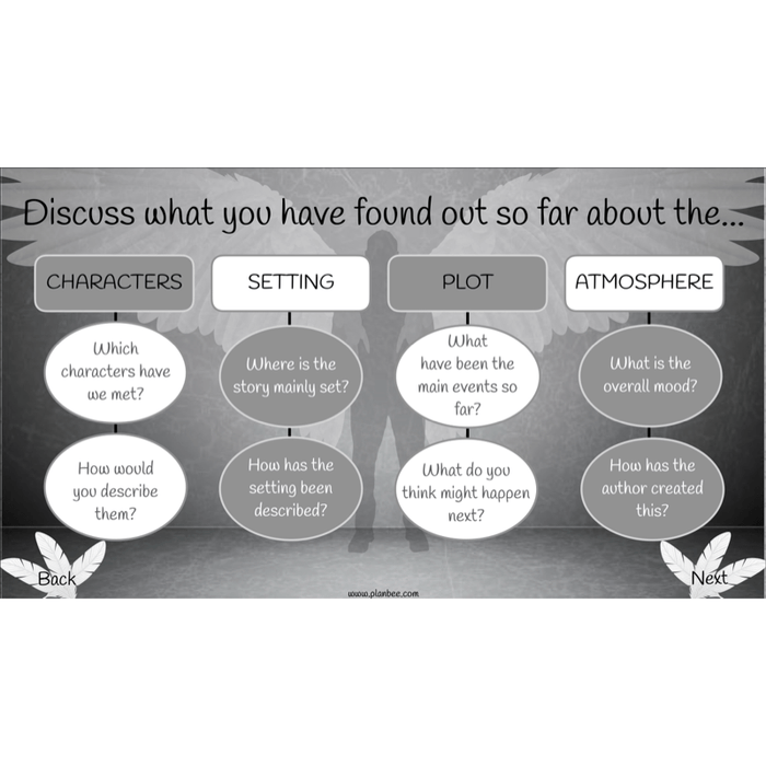 PlanBee Skellig: Reading Comprehension