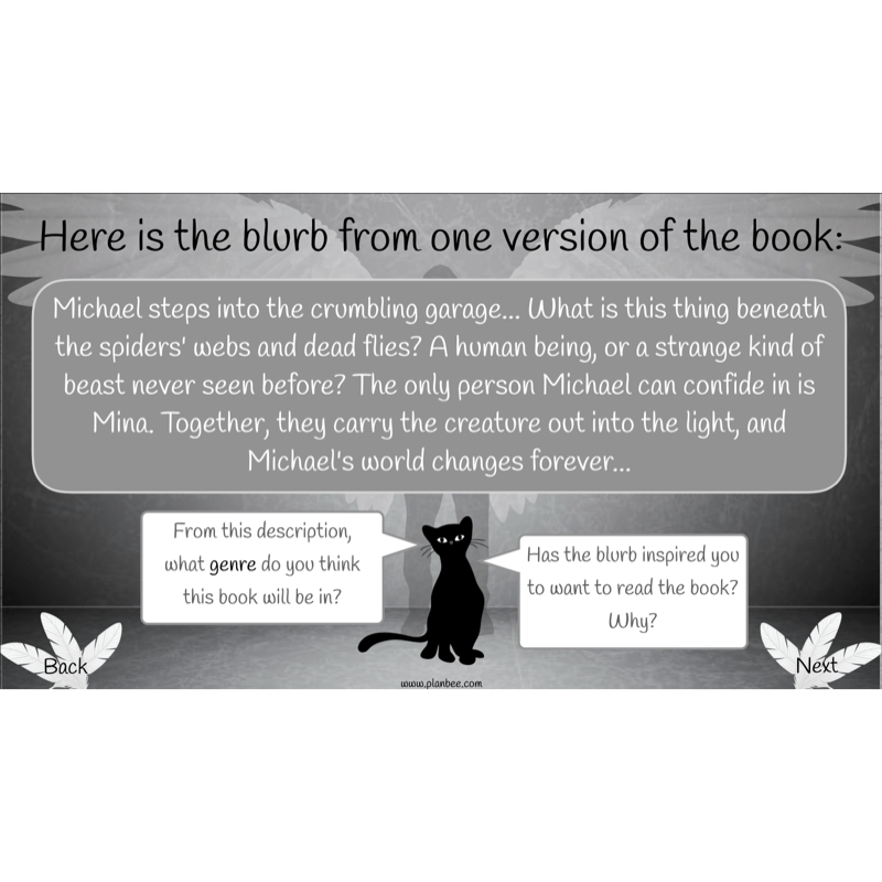 PlanBee Skellig: Reading Comprehension