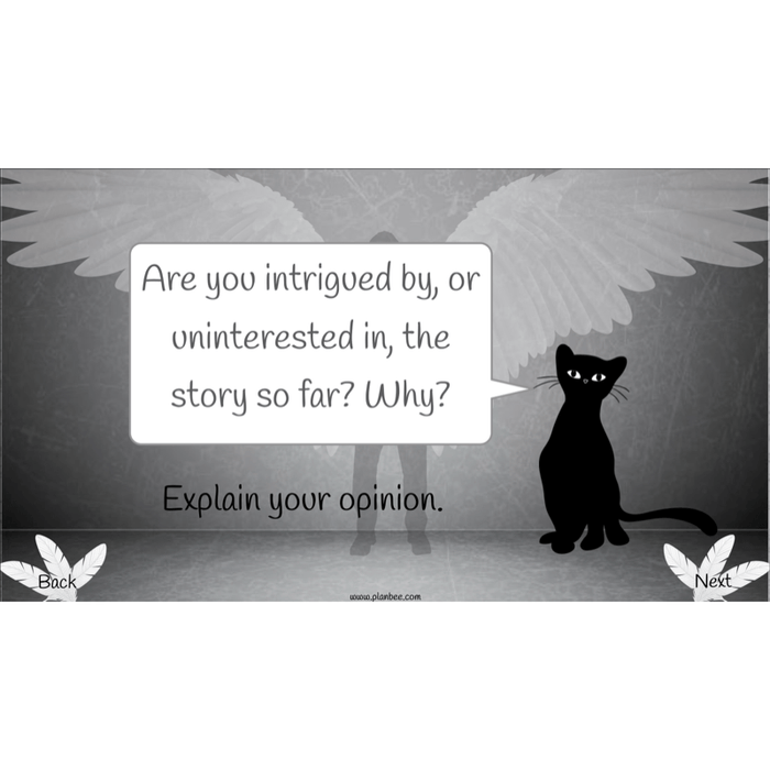 PlanBee Skellig: Reading Comprehension