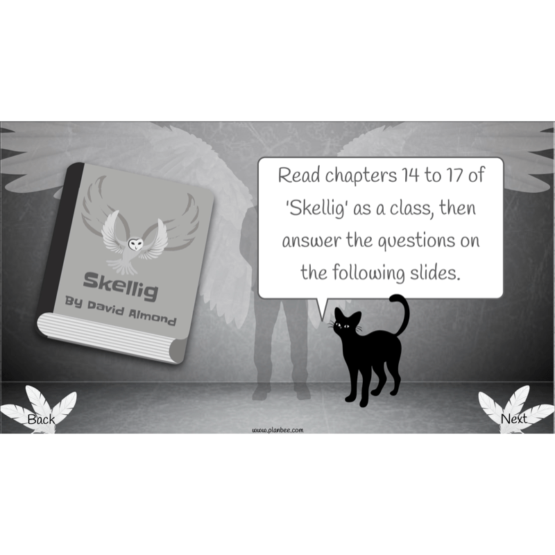 PlanBee Skellig: Reading Comprehension
