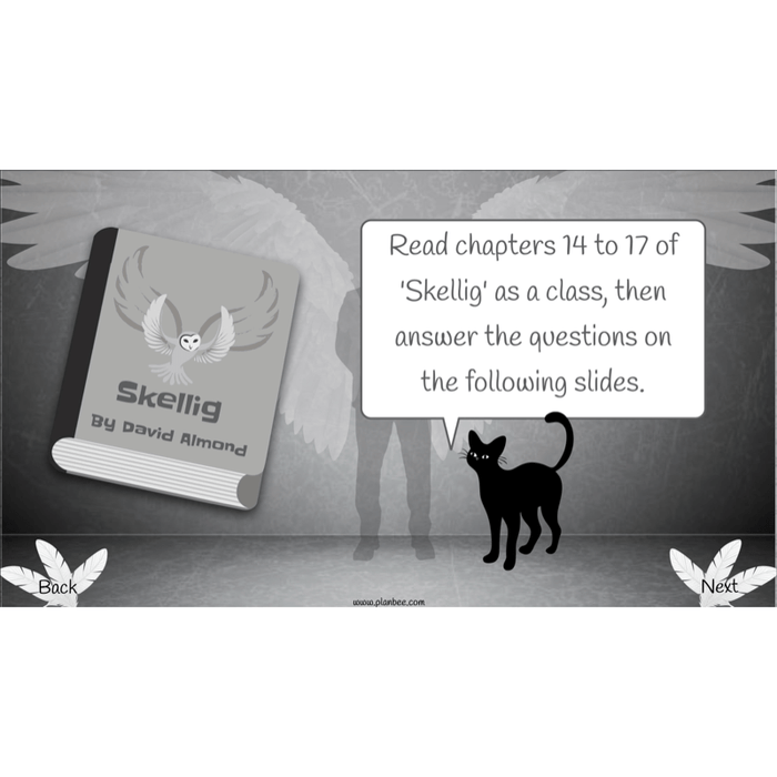 PlanBee Skellig: Reading Comprehension