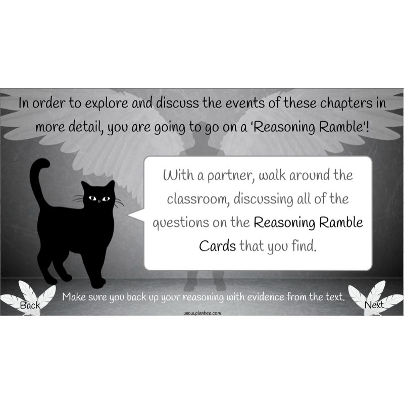 Skellig: Reading Comprehension