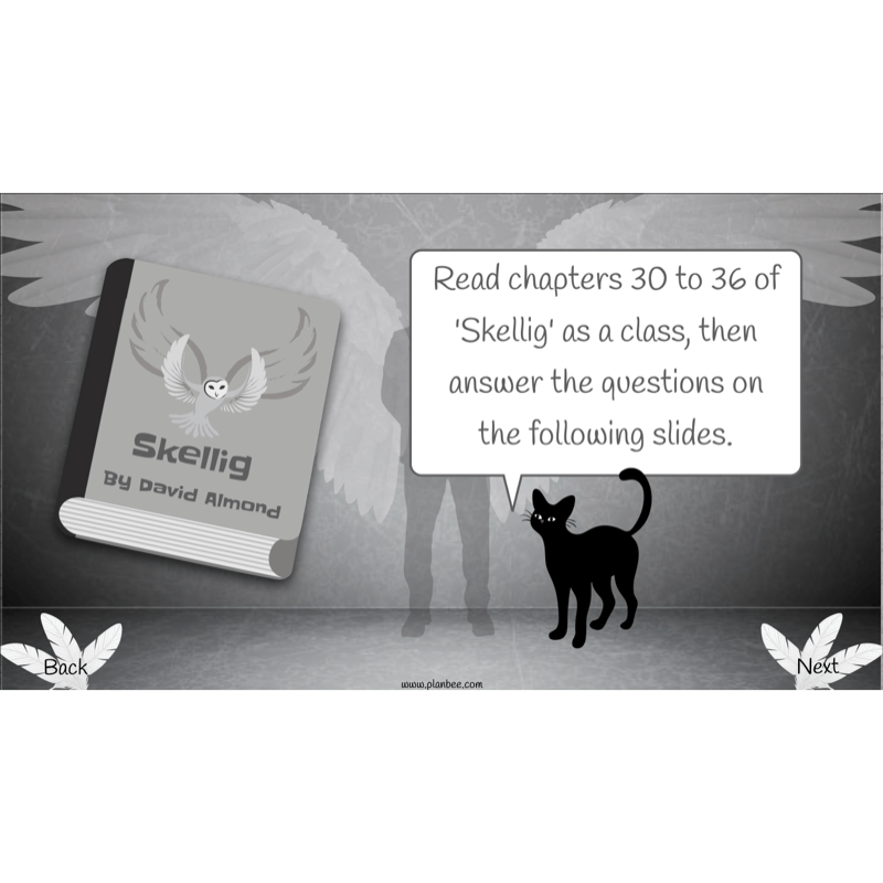 Skellig: Reading Comprehension