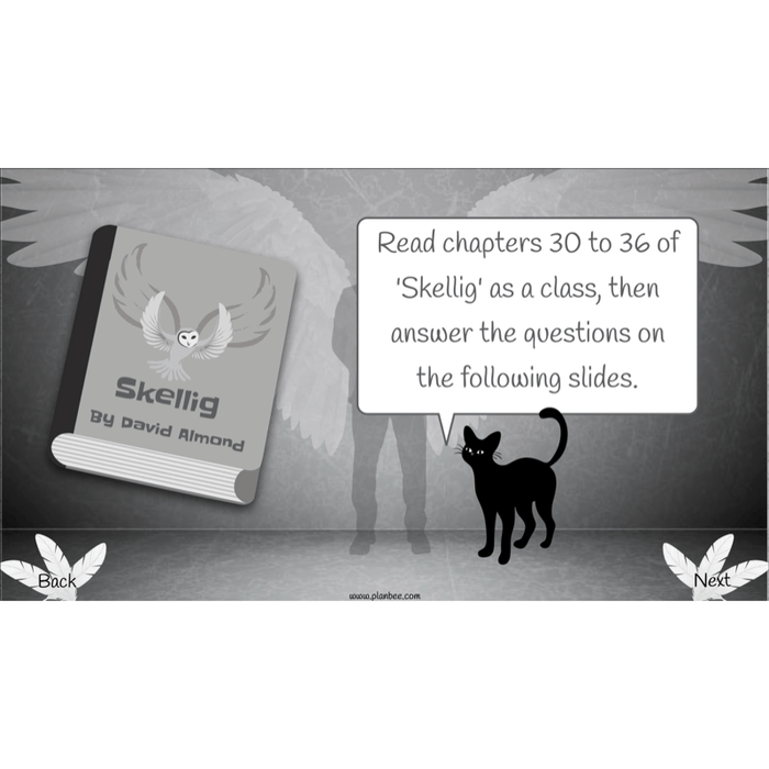 Skellig: Reading Comprehension