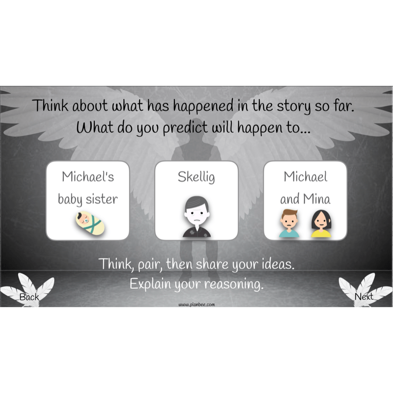 Skellig: Reading Comprehension