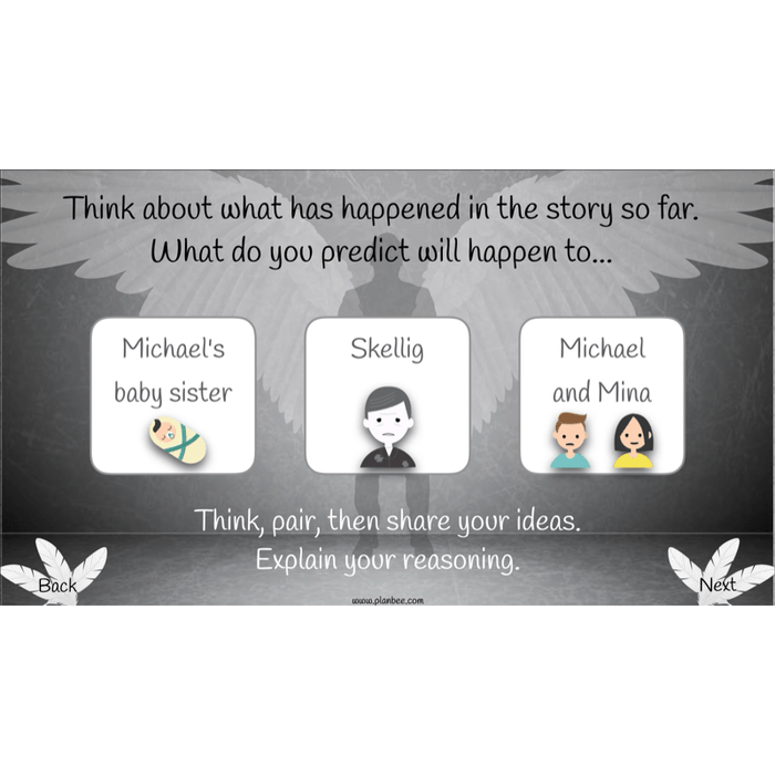 Skellig: Reading Comprehension