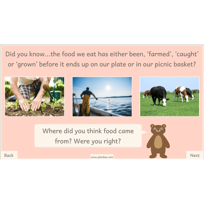 PlanBee Teddy Bears Picnic Ideas and DT Lessons by PlanBee