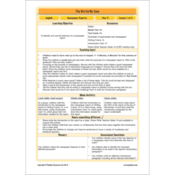 PlanBee The Butterfly Lion: Newspaper Reports KS2 English Pack
