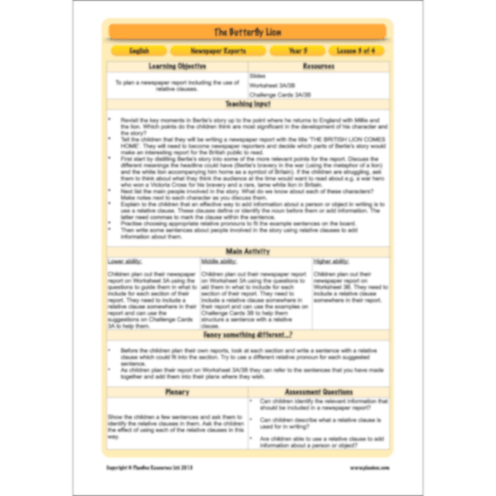 PlanBee The Butterfly Lion: Newspaper Reports KS2 English Pack