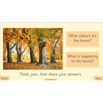 Lesson 4: Autumn