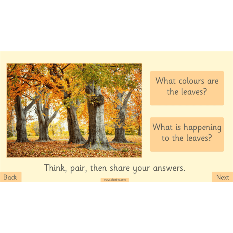 PlanBee The Four Seasons KS1 Geography Lesson Pack