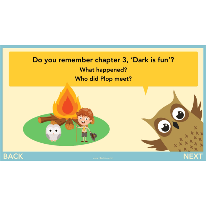 PlanBee FREE | The Owl who was Afraid of the Dark | Diaries KS2