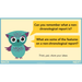 PlanBee The Owl who was Afraid of the Dark | KS2 Non-chronological Reports