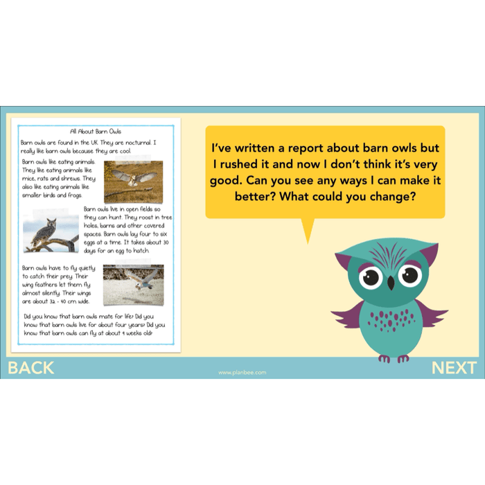 PlanBee The Owl who was Afraid of the Dark | KS2 Non-chronological Reports
