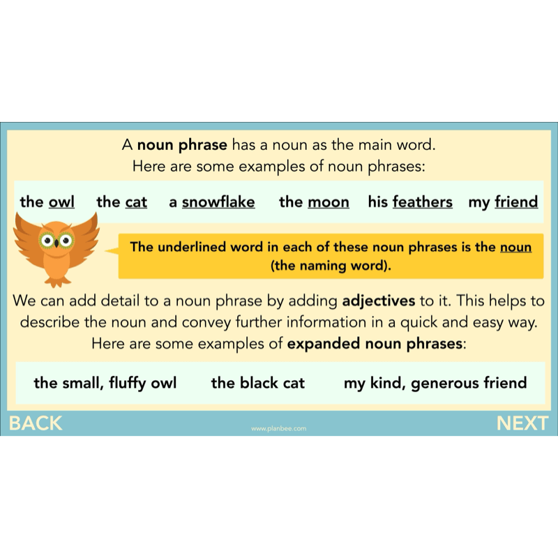 The Owl who was Afraid of the Dark: Reading Comprehension