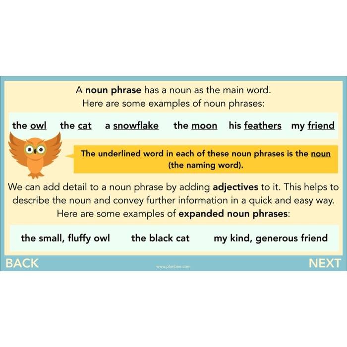 The Owl who was Afraid of the Dark: Reading Comprehension