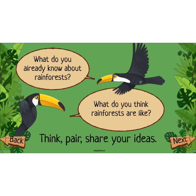 PlanBee The Rainforest Biome KS2 | Geography Lesson Pack