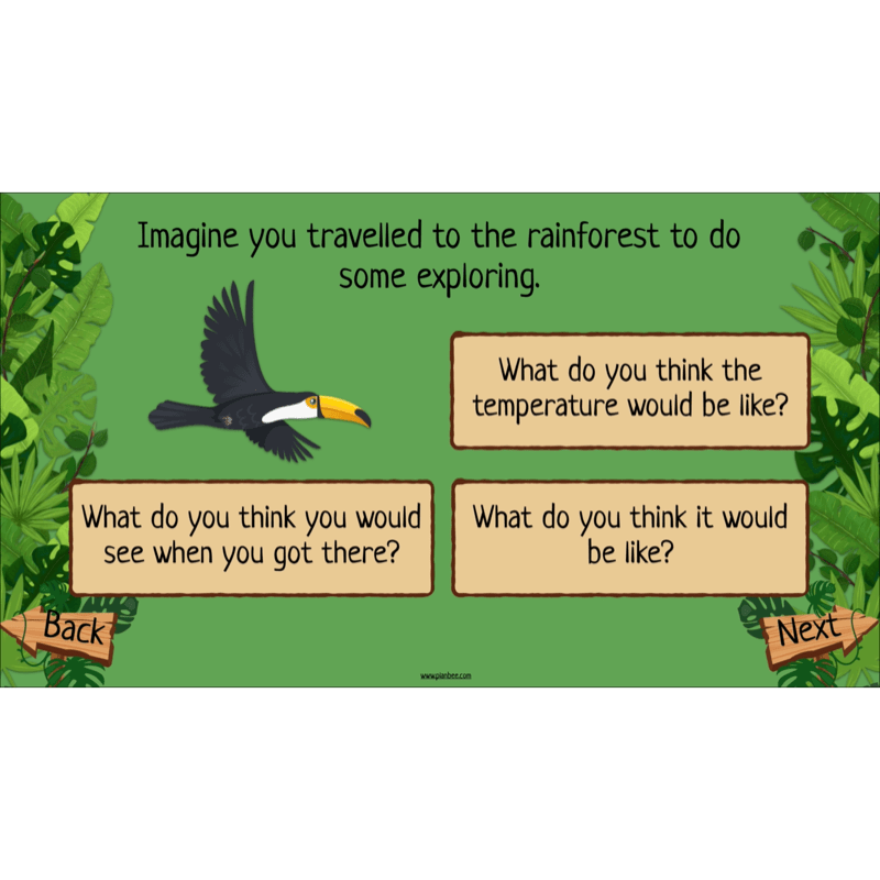 PlanBee The Rainforest Biome KS2 | Geography Lesson Pack