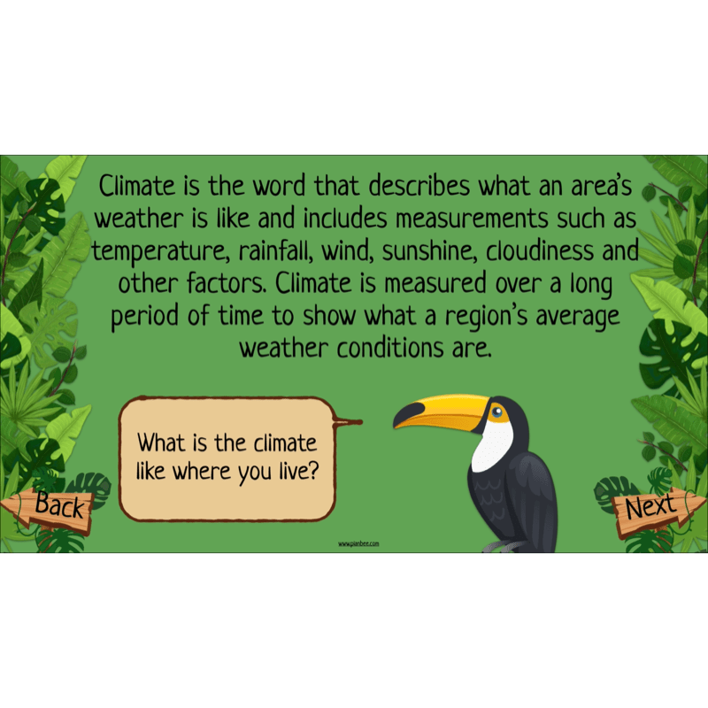 PlanBee The Rainforest Biome KS2 | Geography Lesson Pack