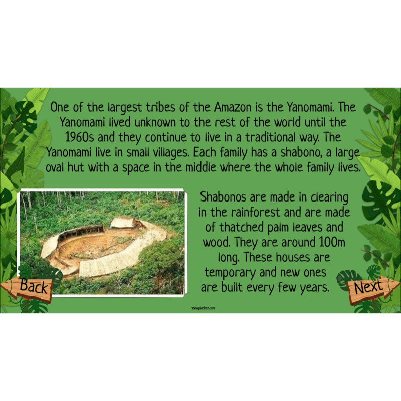 PlanBee The Rainforest Biome KS2 | Geography Lesson Pack