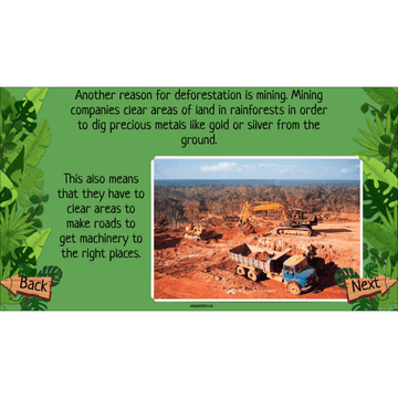Lesson 5: Rainforest Deforestation