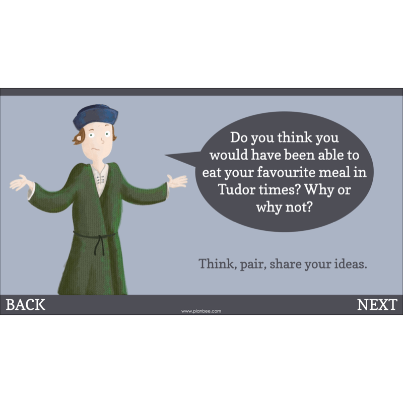 PlanBee The Tudors KS2 History Lessons and Resources