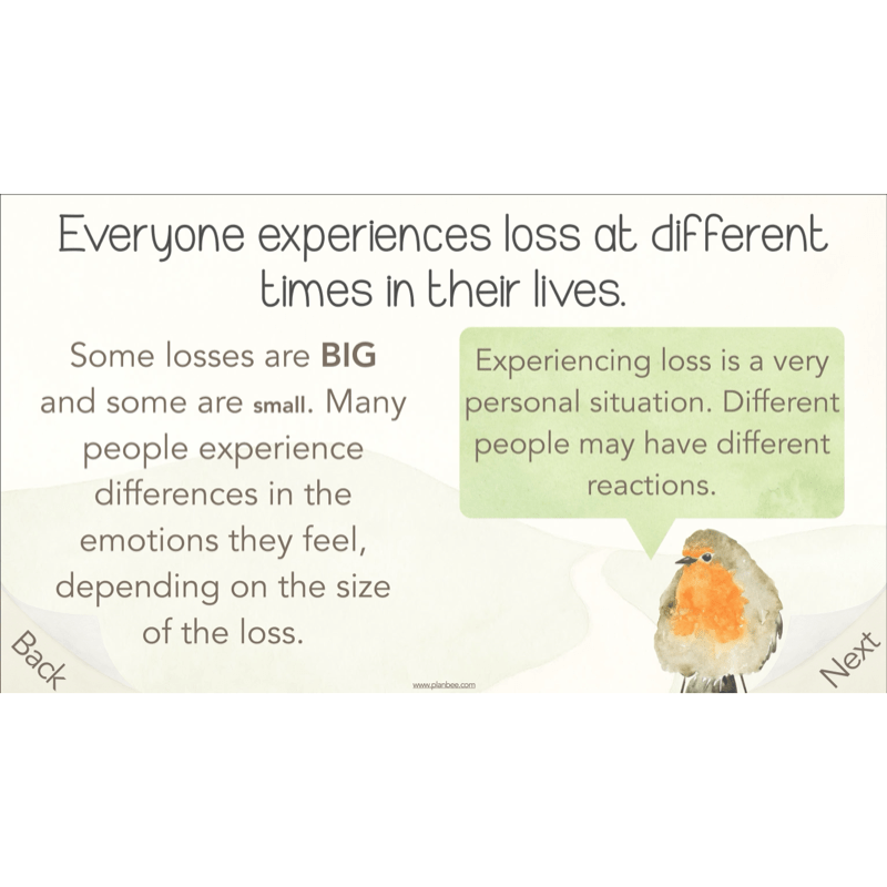 PlanBee What happens when we die? KS2 RE Lesson Plans