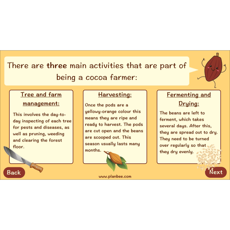 PlanBee Where does Chocolate come from? | KS2 Geography lessons