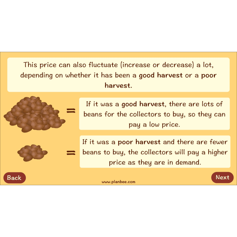 PlanBee Where does Chocolate come from? | KS2 Geography lessons