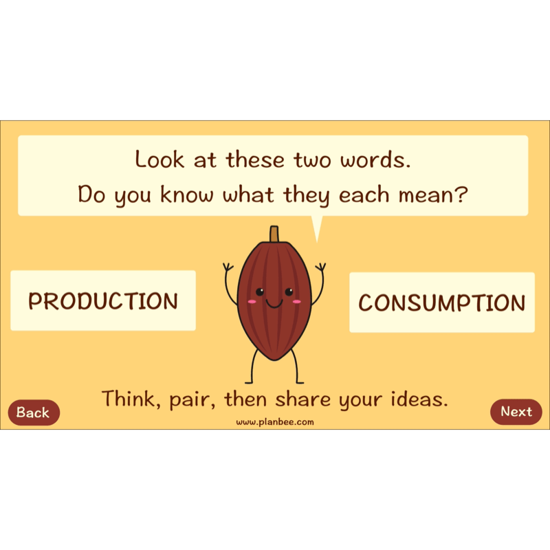 Where does Chocolate come from?