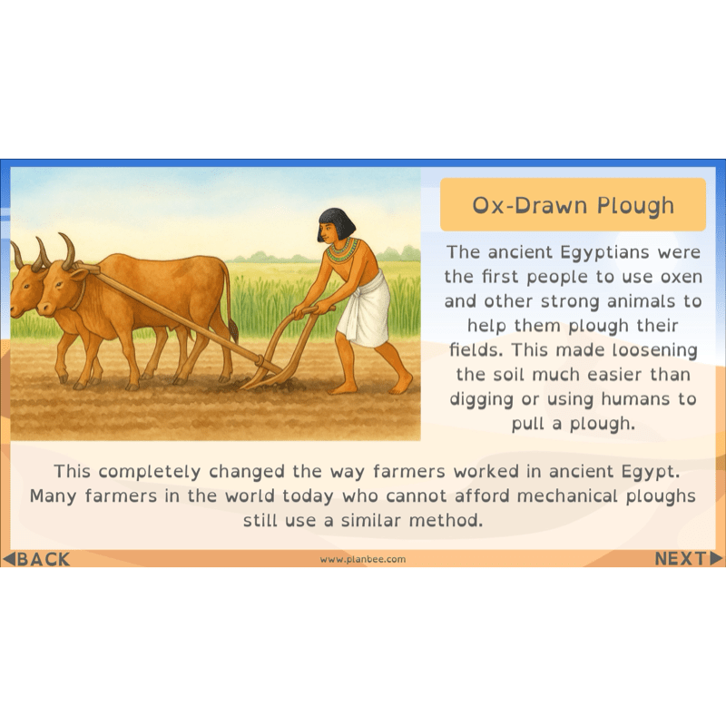 Who were the Ancient Egyptians?