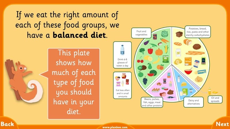 PlanBee Growth and Survival: Animals including Humans Year 2 Science