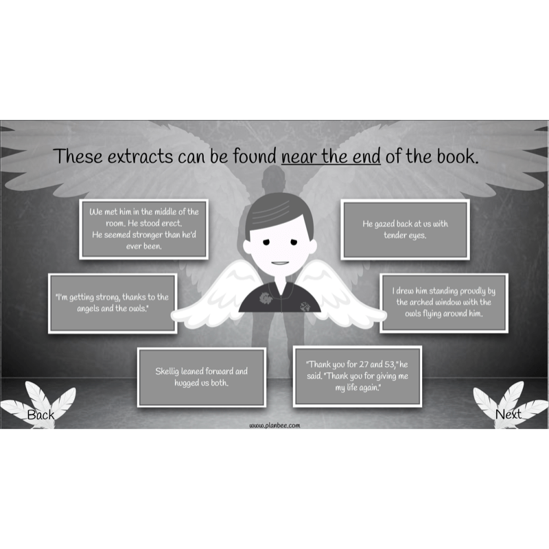 PlanBee Skellig: Narrative