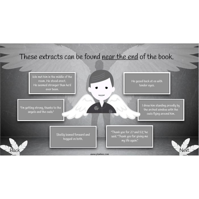 PlanBee Skellig: Narrative